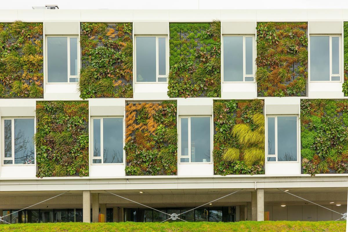 due diligence ambiental 2